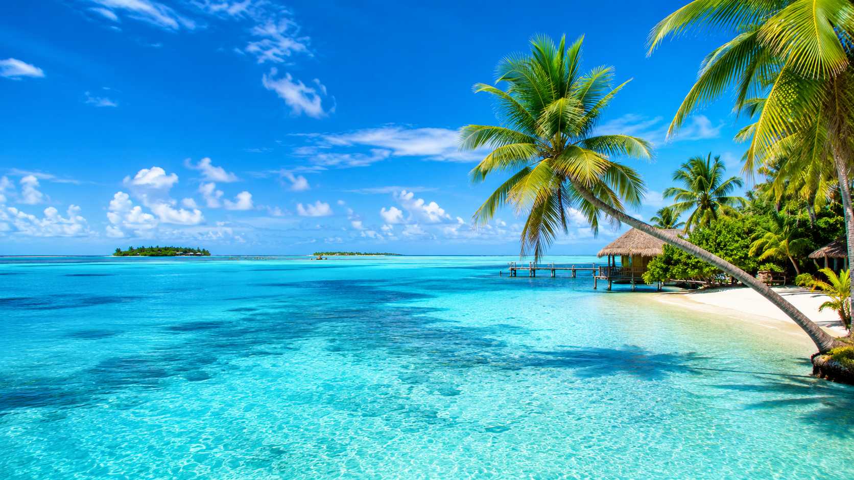 Belize by Konstantin Titov